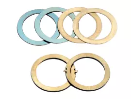 Shimmen / ringen Vario Polini Evolution 14,8x20mm voor Piaggio