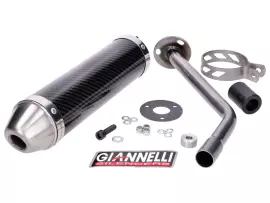 Einddemper Giannelli Carbon voor Beta RR Enduro Motard 50 18-20