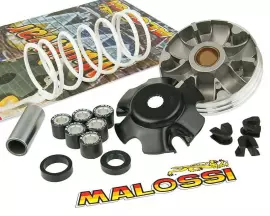 Vario Malossi Multivar 2000 voor Piaggio (98-)